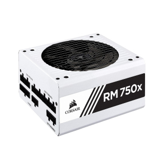 Corsair RMx Series RM750x 80PLUS Gold High-Performance Fully Modular 750W ATX Power Supply - White